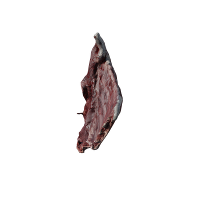 House of Horror