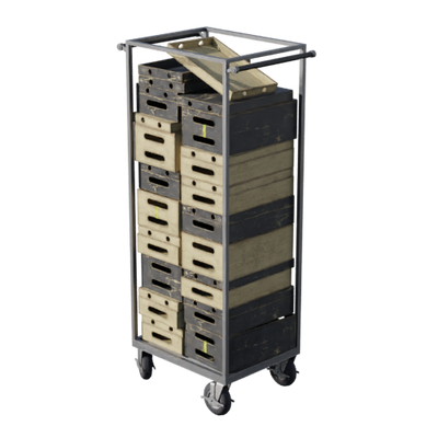 Lights, Camera, Action!