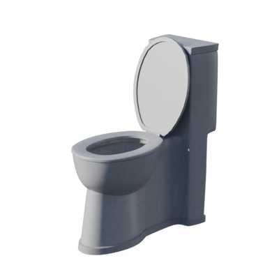 Lights, Camera, Action!