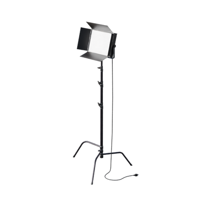 Lights, Camera, Action!