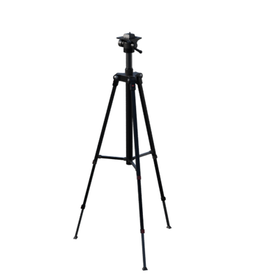 Lights, Camera, Action!