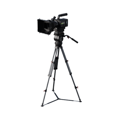 Lights, Camera, Action!