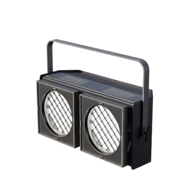 Lights, Camera, Action!