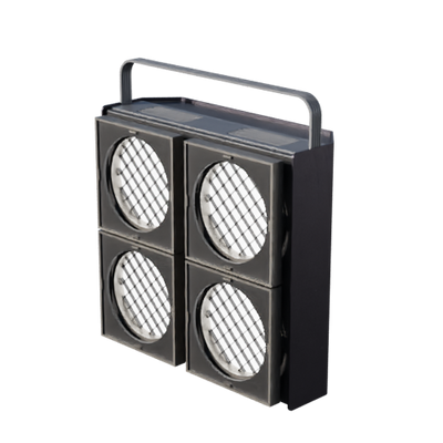 Lights, Camera, Action!