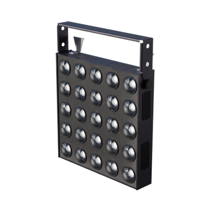 Lights, Camera, Action!