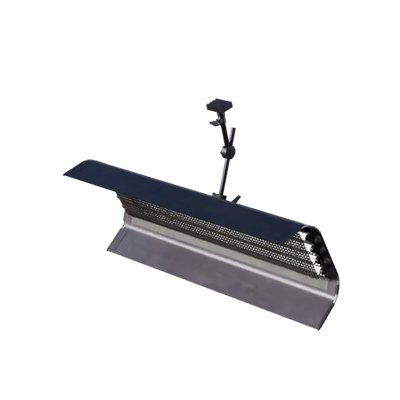 Lights, Camera, Action!