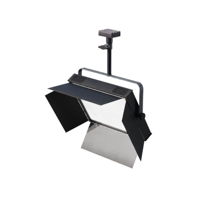 Lights, Camera, Action!