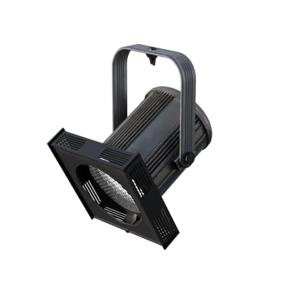 Lights, Camera, Action!