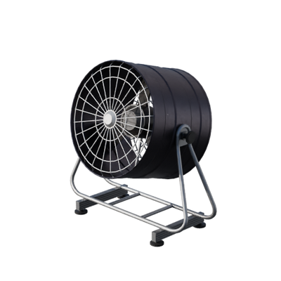 Lights, Camera, Action!