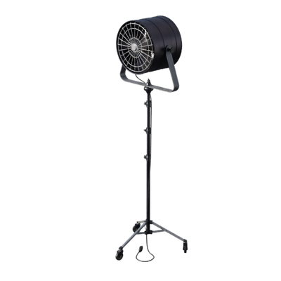 Lights, Camera, Action!