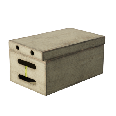 Lights, Camera, Action!