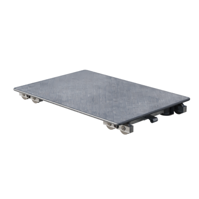 Lights, Camera, Action!