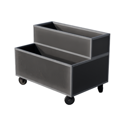 Lights, Camera, Action!