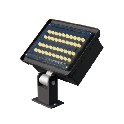 Lights, Camera, Action!