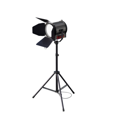 Lights, Camera, Action!