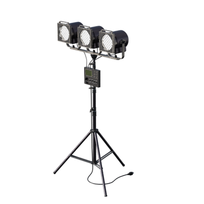 Lights, Camera, Action!