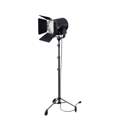 Lights, Camera, Action!