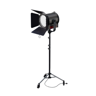 Lights, Camera, Action!