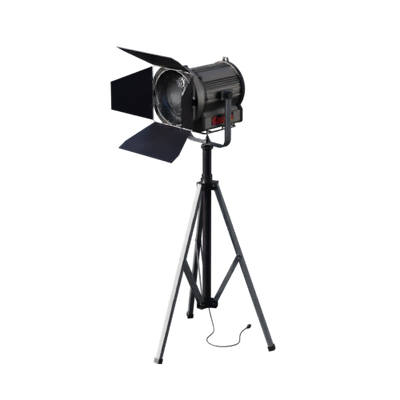 Lights, Camera, Action!