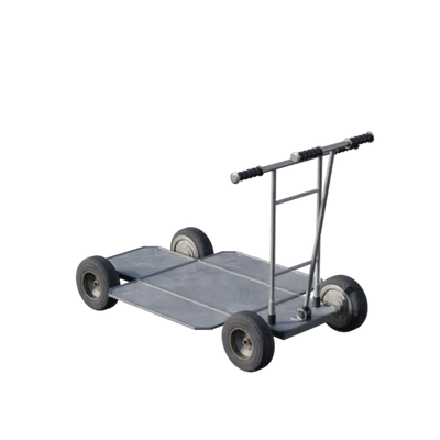 Lights, Camera, Action!