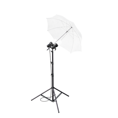 Lights, Camera, Action!