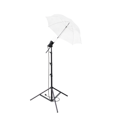 Lights, Camera, Action!