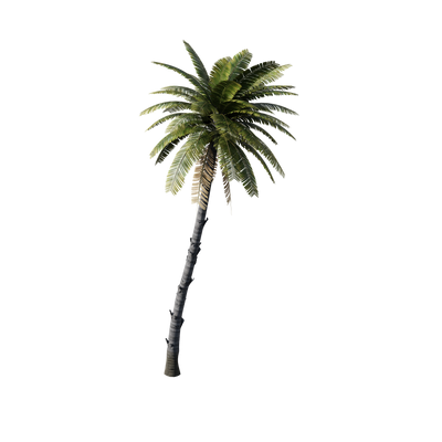 Treasure Island