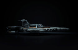 Sentinel 3D Model